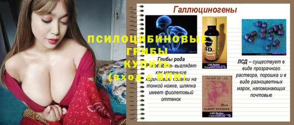 крисы Ижевск